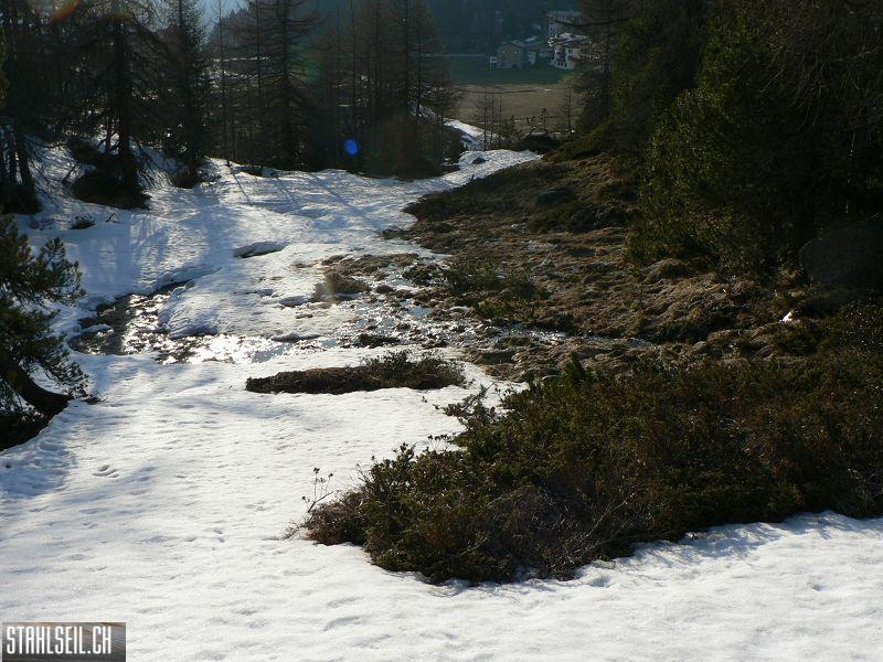 k-P1320325.JPG