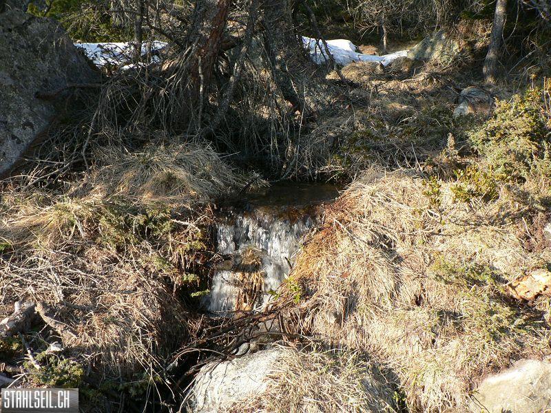 k-P1320326.JPG