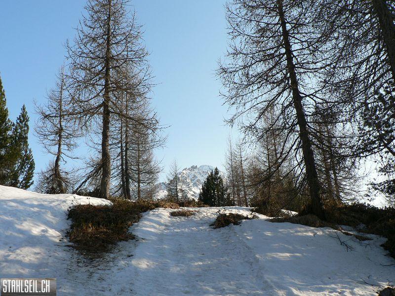 k-P1320328.JPG