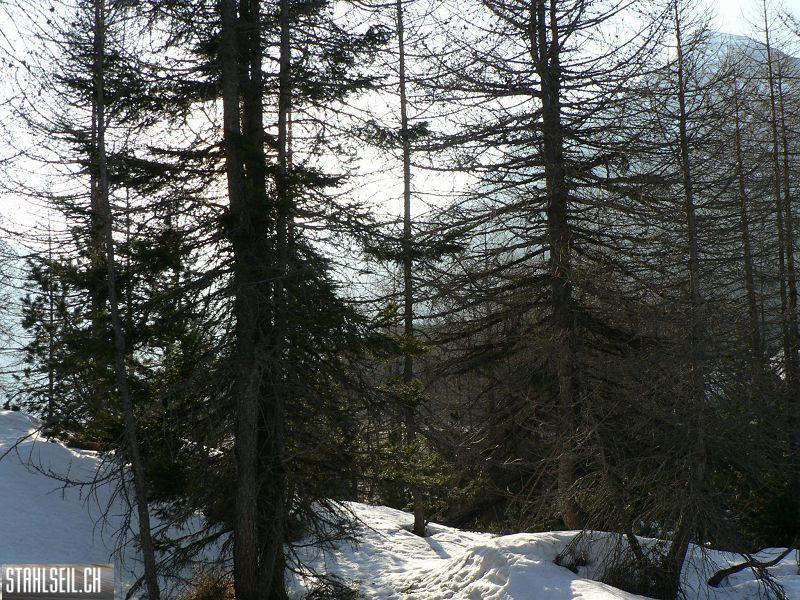 k-P1320329.JPG