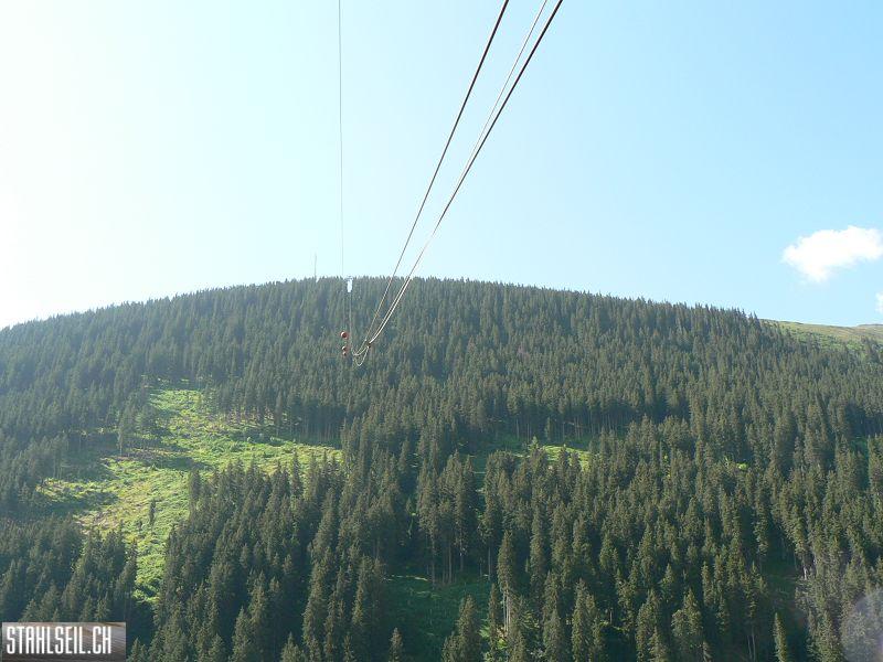 k-P1070786.JPG