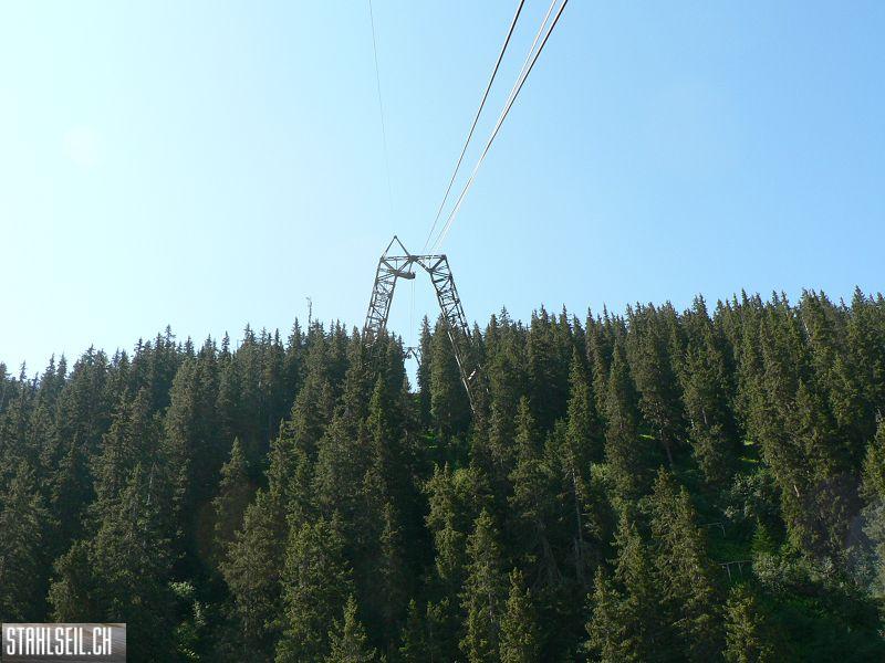 k-P1070795.JPG