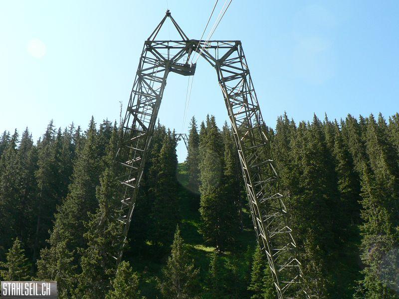 k-P1070799.JPG