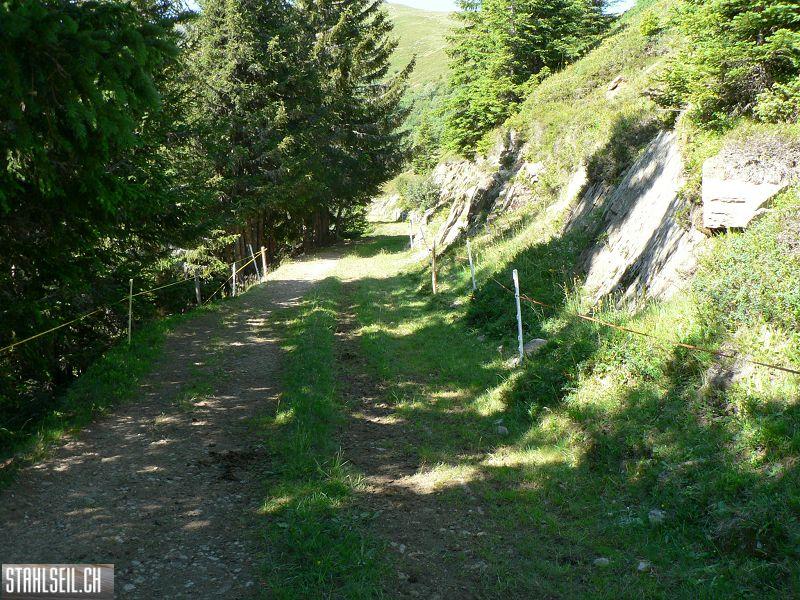 k-P1070882.JPG