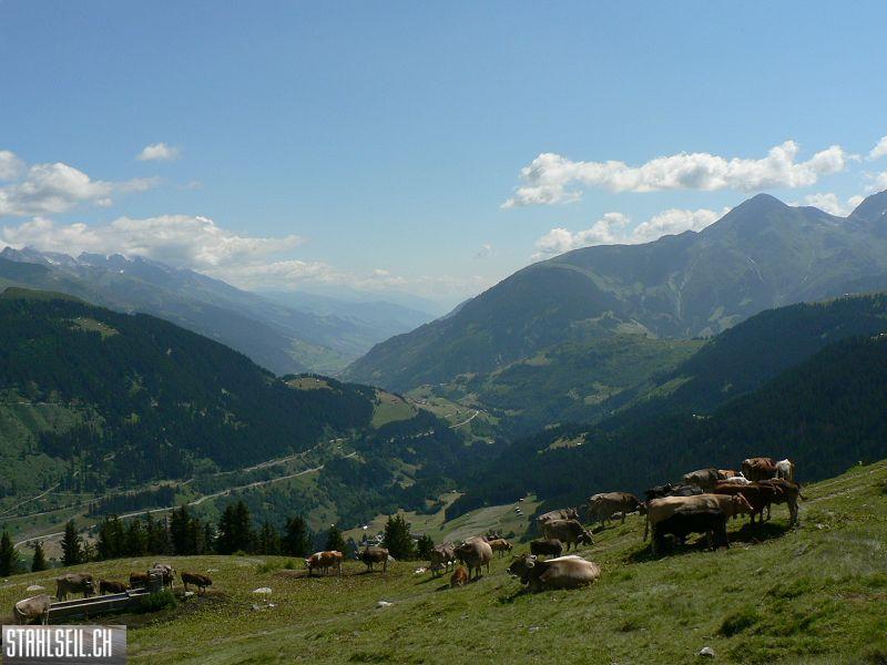 k-P1070991.JPG