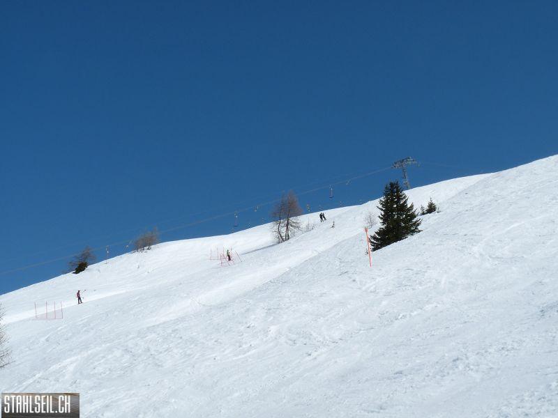 k-P1100995.JPG