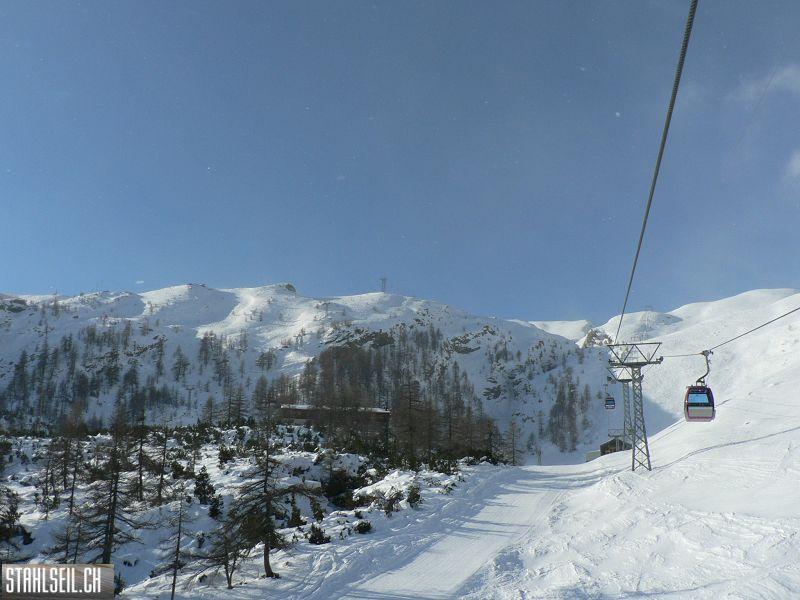 k-P1190775.JPG