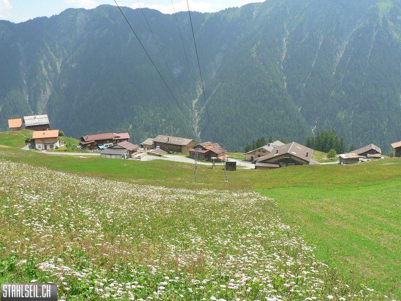 k-P1700116.JPG