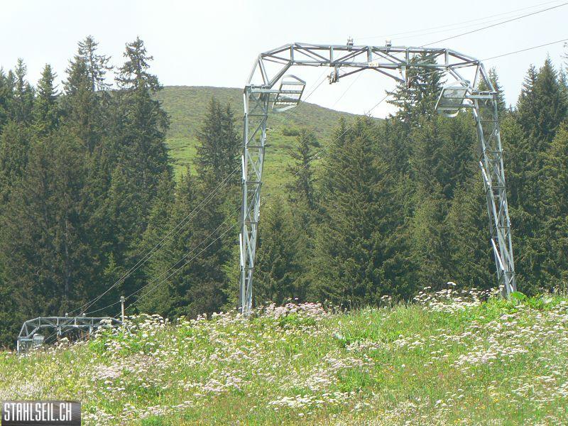 k-P1700120.JPG
