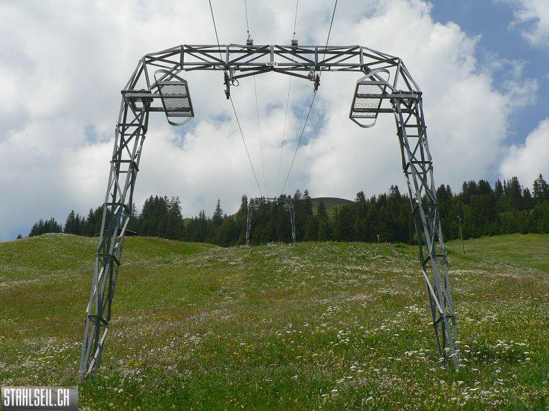 k-P1700130.JPG