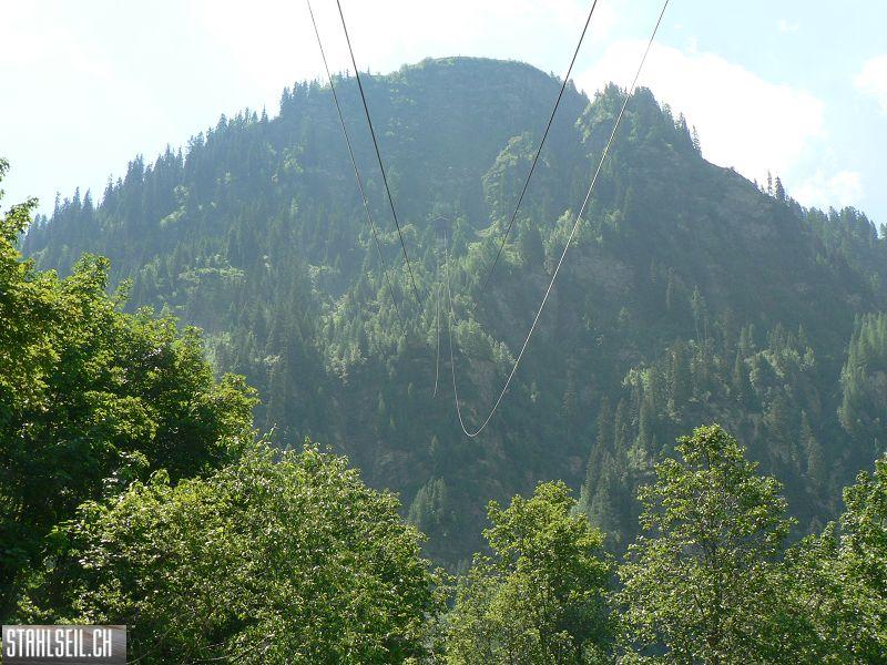 k-P1700082.JPG