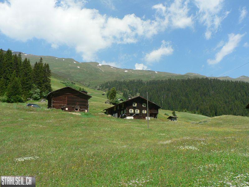 k-P1700067.JPG