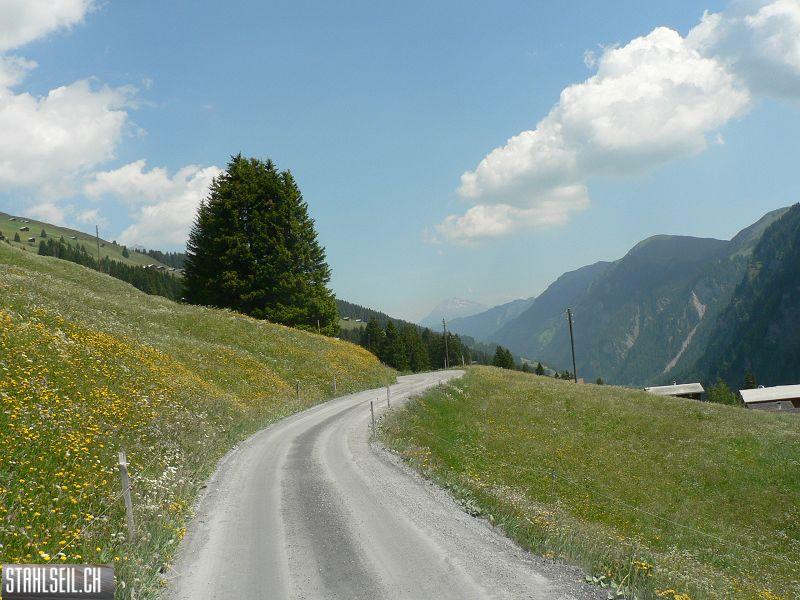 k-P1700068.JPG