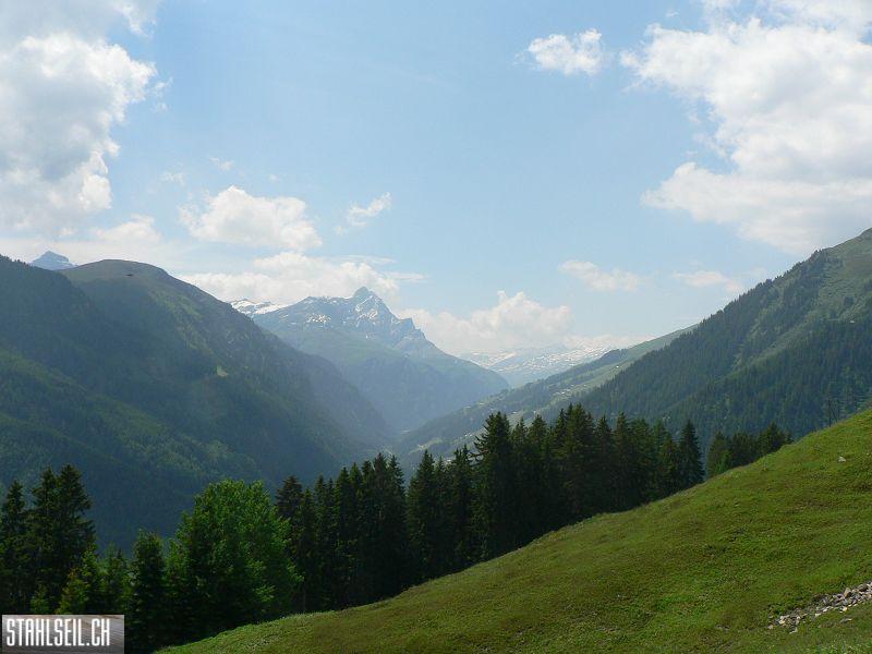 k-P1700087.JPG