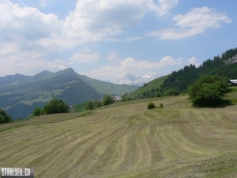 k-P1700156.JPG