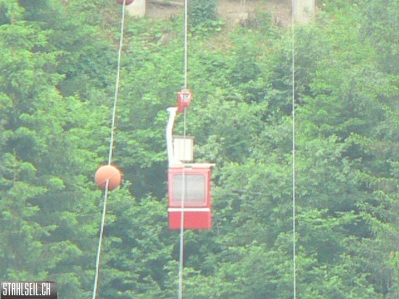 k-P1700179.JPG