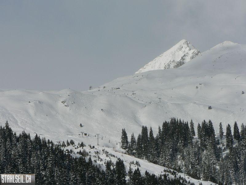 k-P1220828.JPG