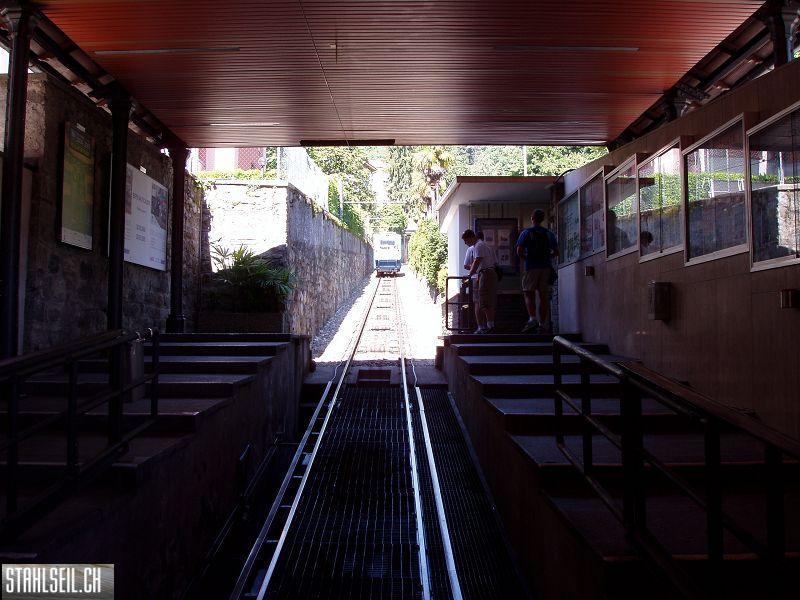 k-P6050004.JPG