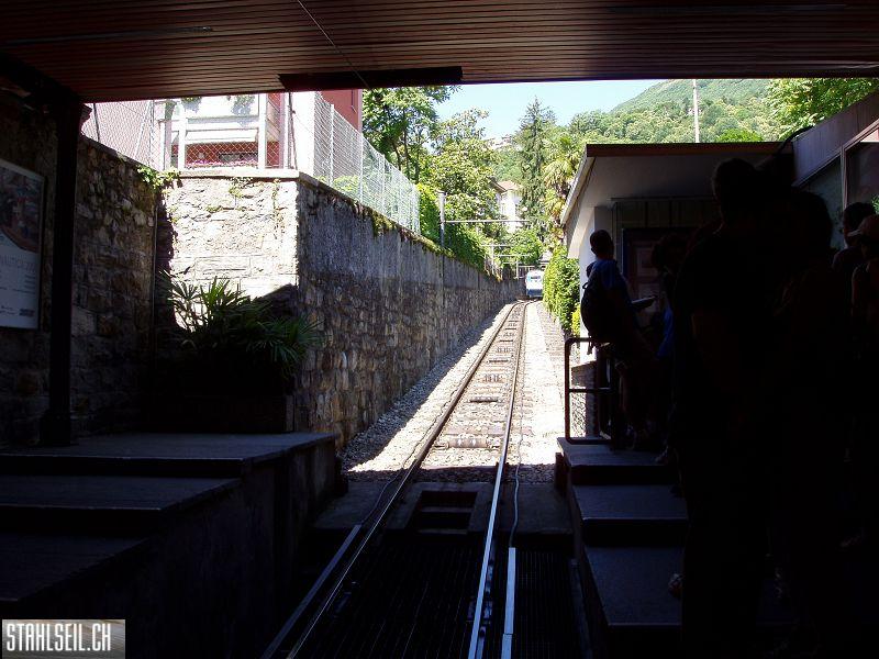 k-P6050007.JPG