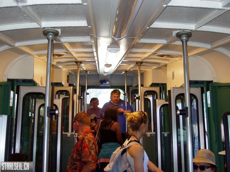 k-P6050016.JPG