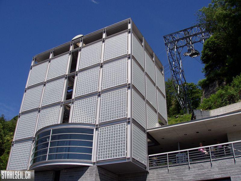 k-P6050058.JPG