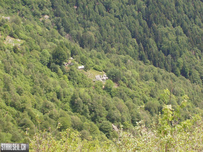 k-P6050309.JPG