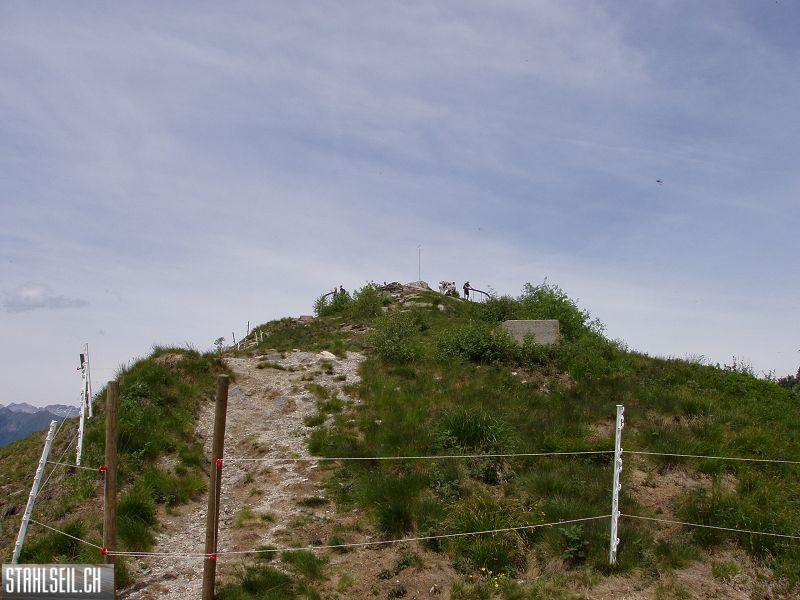 k-P6050311.JPG