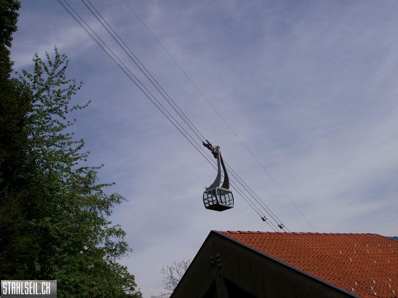 k-P6050455.JPG