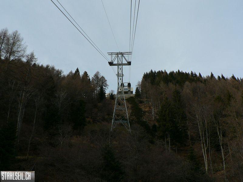 k-P1210416.JPG