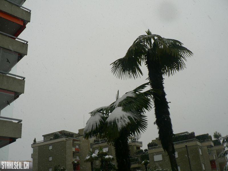 k-P1550717.JPG