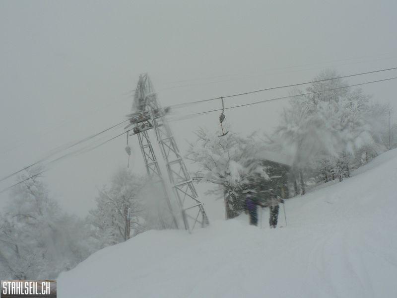 k-P1550762.JPG