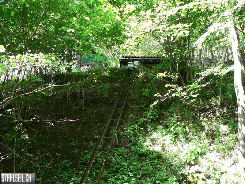 k-P1340179.JPG