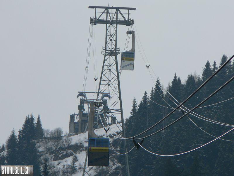 k-P1300042.JPG