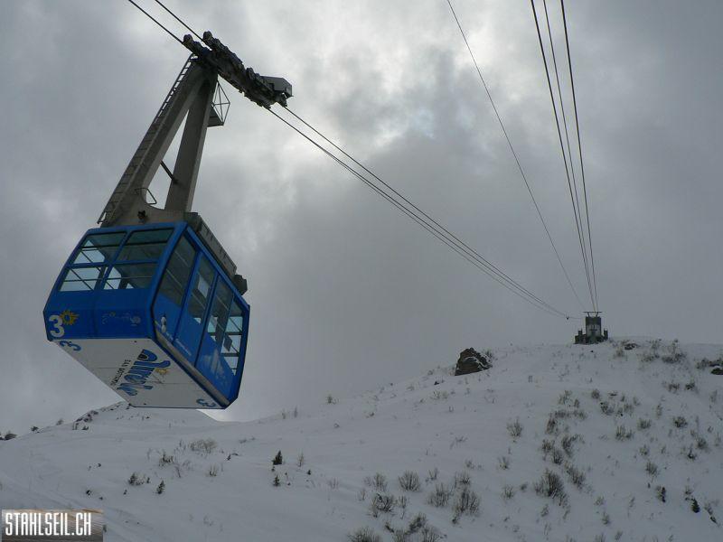 k-P1300073.JPG