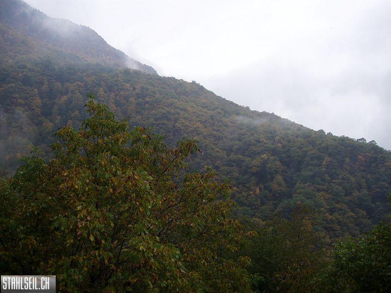 k-PA230464.JPG