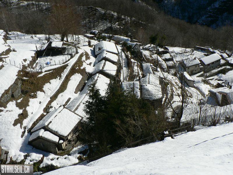 k-P1570333.JPG
