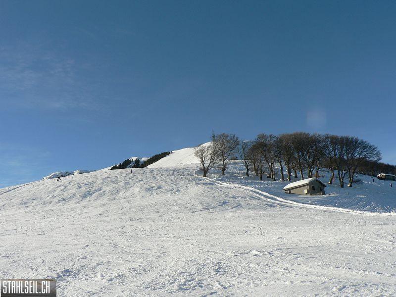 k-P1570615.JPG
