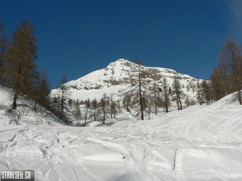 k-P1560803.JPG