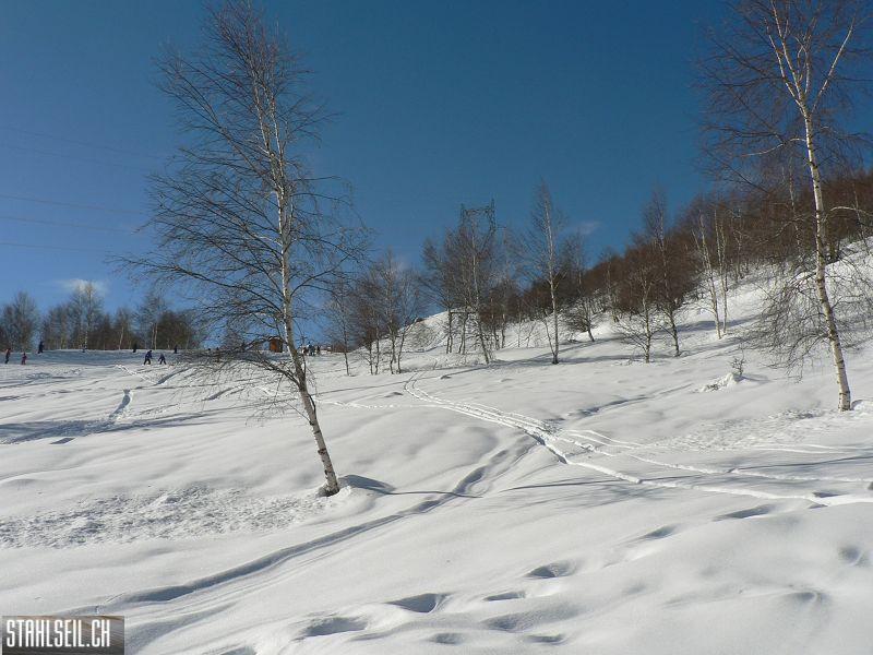 k-P1570214.JPG