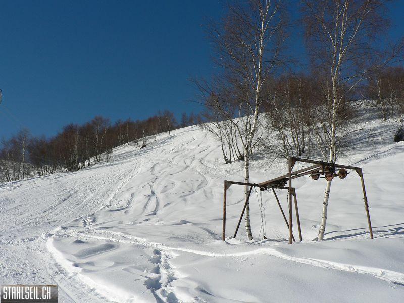 k-P1570324.JPG