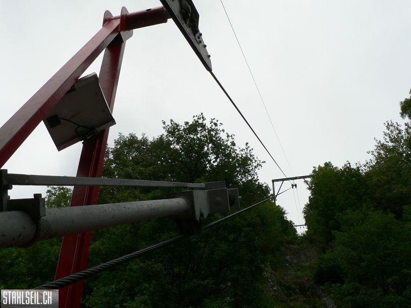 k-P1100154.JPG