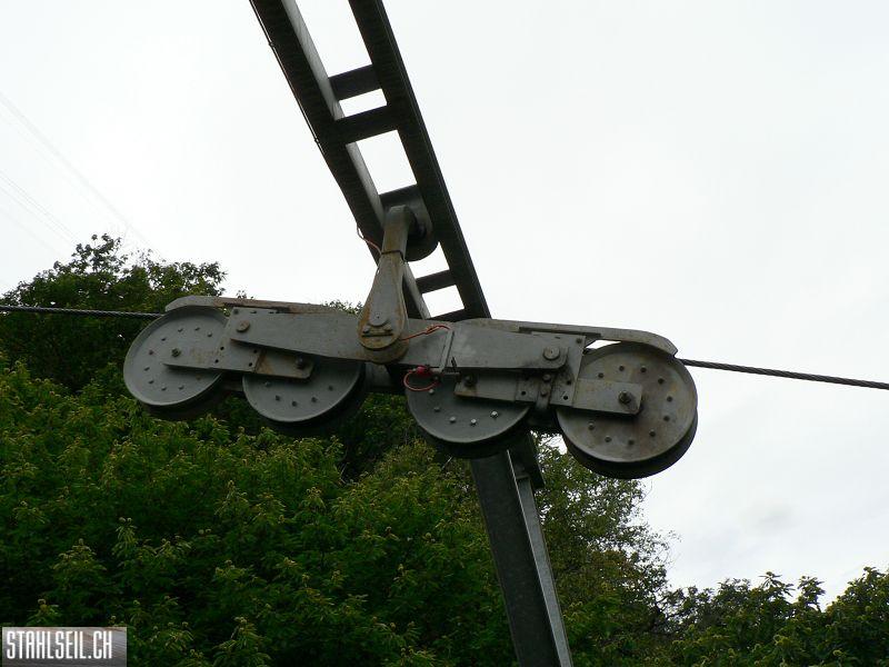 k-P1100183.JPG