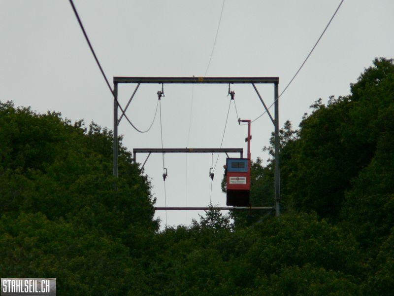 k-P1100185.JPG