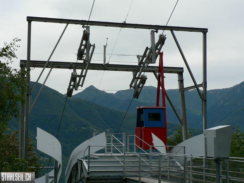 k-P1100293.JPG