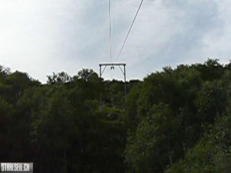 k-P1100374.JPG