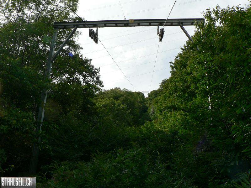 k-P1100430.JPG