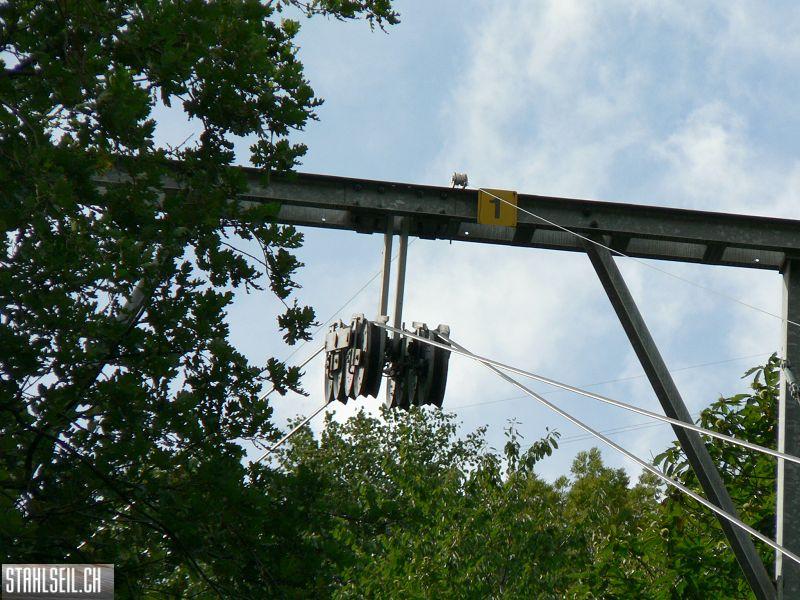 k-P1100462.JPG
