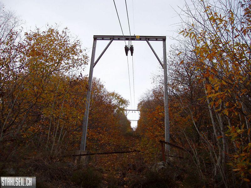 k-PB190297.JPG