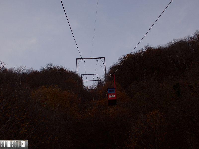 k-PB190317.JPG