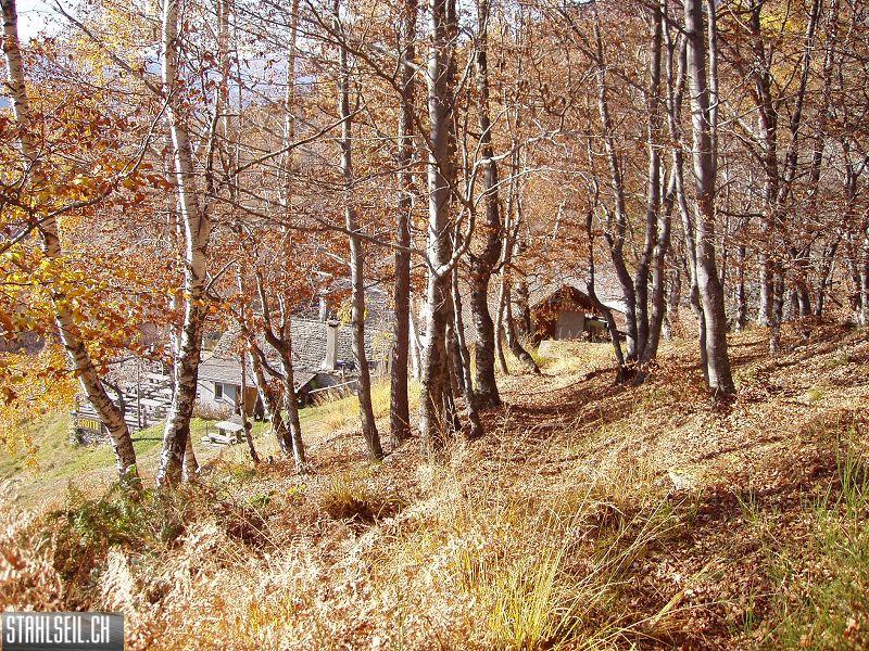 k-PB110216.JPG